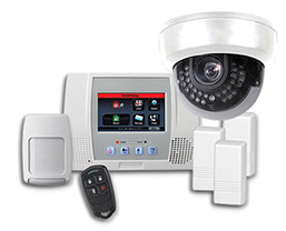 Smyrna, DE commercial security